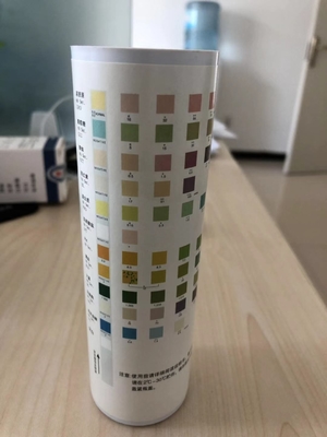 Analyser les urines à la bande de test Méthode chimique sèche Urine-H-11 Urine-H-10 Urine-H-8
