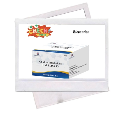 IL 1 ELISA Test Kit Interleukine-1 sérum humain et analyse immunologique plasmatique