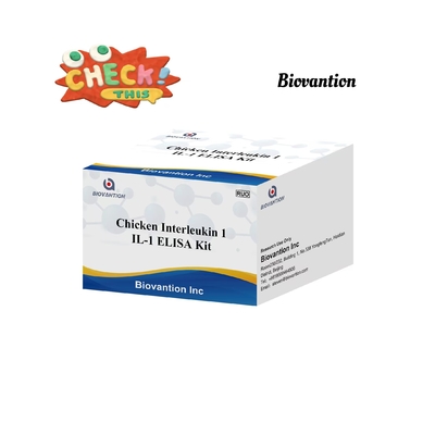 IL 1 ELISA Test Kit Interleukine-1 sérum humain et analyse immunologique plasmatique