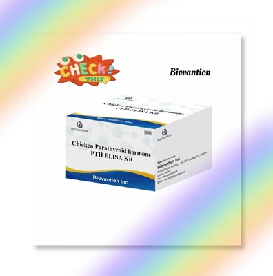 Kit de test PTH ELISA Serum d'hormone parathyroïdienne immunosorbente liée aux enzymes de poulet