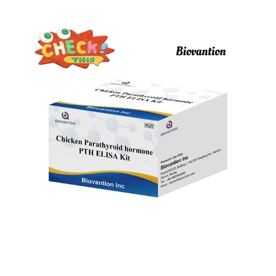 Kit de test PTH ELISA Serum d'hormone parathyroïdienne immunosorbente liée aux enzymes de poulet