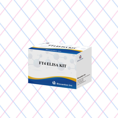 FT4 Elisa Kit avec 95% de sensibilité au réactif d'essai in vitro à usage humain