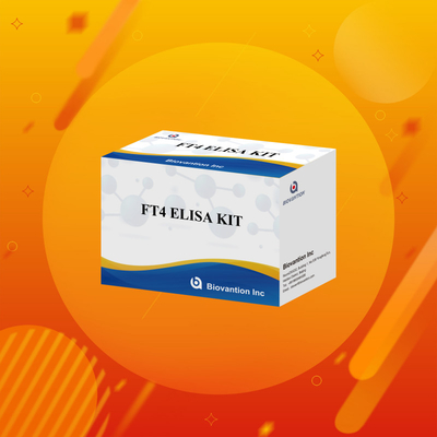 FT4 Elisa Kit avec 95% de sensibilité au réactif d'essai in vitro à usage humain