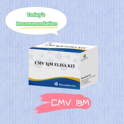 Test ELISA qualitatif sur les IgM des macrophages