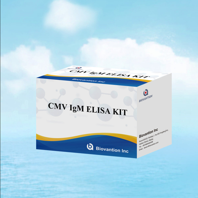 Test ELISA qualitatif sur les IgM des macrophages