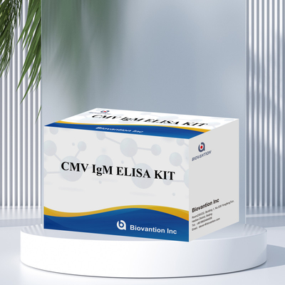 Test ELISA qualitatif sur les IgM des macrophages