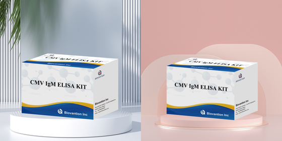 Test ELISA qualitatif sur les IgM des macrophages