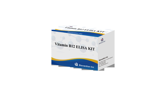Kit de test Elisa Vitamine B1 Test chez l' animal de produits liés à l' enzyme RÉSERCHE Utilisation exclusive