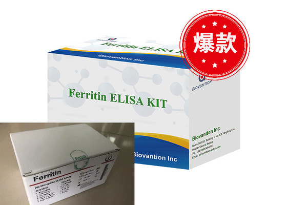 Ferritine Elisa Test Kit Produits liés aux enzymes Temps de transport court Haute qualité
