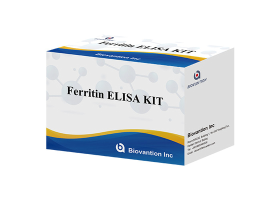 Ferritine Elisa Test Kit Produits liés aux enzymes Temps de transport court Haute qualité