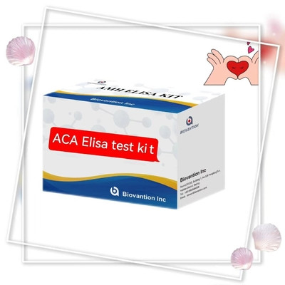 Anti-ACA IgM Elisa Test chez l' animal avec 18 mois de durée de conservation spécifique 2-3 heures