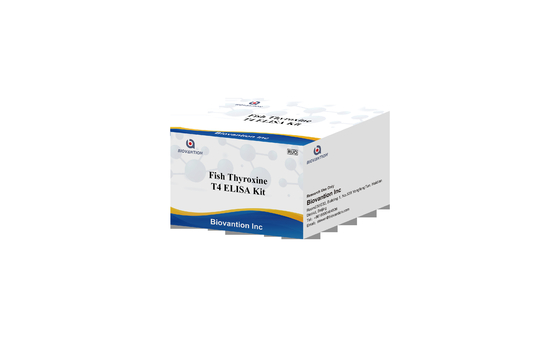 Test d'hormone thyroïdienne T4 triiodothyronine ELISA