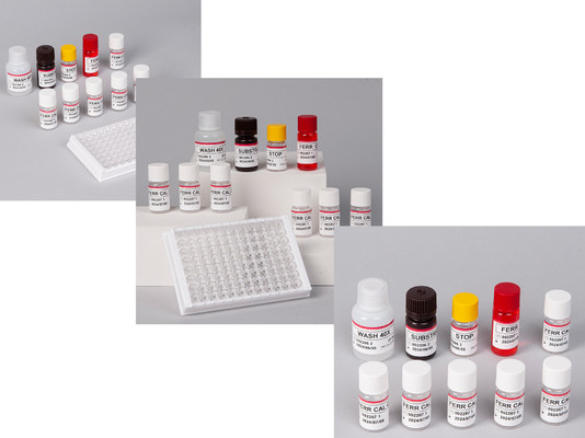 Laboratoire ou hôpital Kit de test de ferritine humaine FE ELISA de haute précision