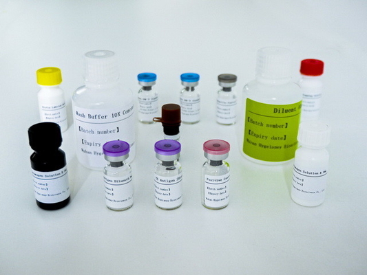 Kit de test ELISA facile à utiliser pour la tuberculose IGRA avec une longue durée de conservation et une méthode de conservation 2C-8C