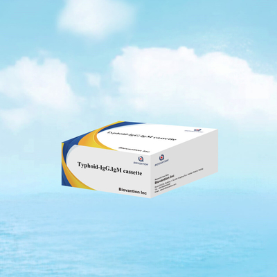 Vente à chaud IgM IgG pour les laboratoires Hôpitaux Kit de test sanguin rapide de la fièvre typhoïde