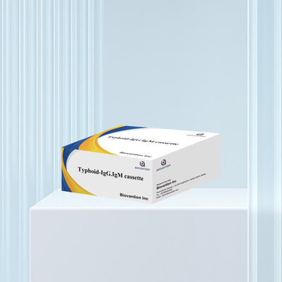 Vente à chaud IgM IgG pour les laboratoires Hôpitaux Kit de test sanguin rapide de la fièvre typhoïde