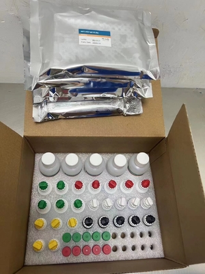 Nouveau réactif IVD de l'arrivée Test de réactif diagnostique du VHC pour le laboratoire clinique hospitalier humain