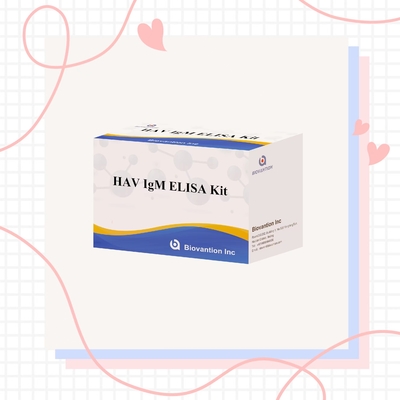 HAV IgM Elisa Test Hépatite A Un kit de diagnostic