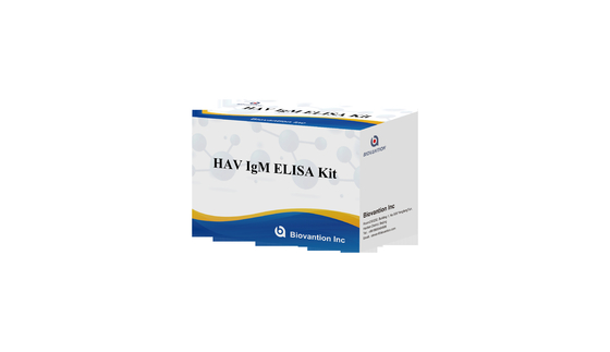 HAV IgM Elisa Test Hépatite A Un kit de diagnostic