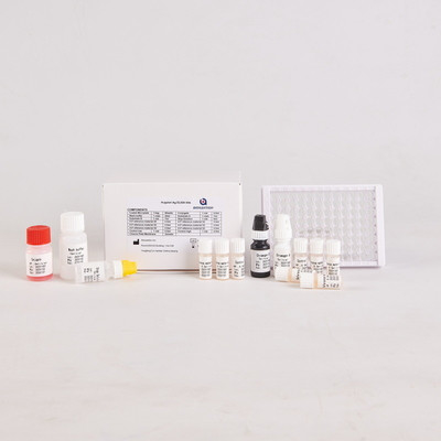 Pour le laboratoire ou l'hôpital, kit de test H.Pylori IgG Elisa de haute précision