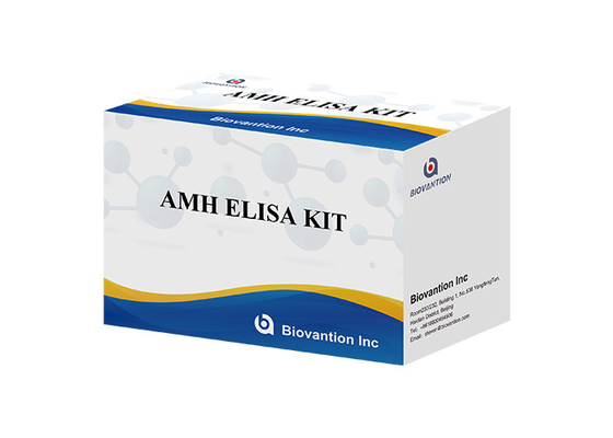 Kit de test de l'hormone anti-mullérienne AMH Elisa Pour l'usage humain avec plasma sérique