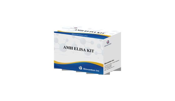 Kit de test de l'hormone anti-mullérienne AMH Elisa Pour l'usage humain avec plasma sérique