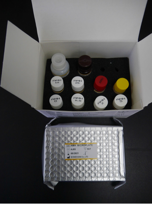 Kit de test de l'hormone anti-mullérienne AMH Elisa Pour l'usage humain avec plasma sérique