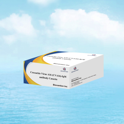 Réactif de diagnostic IVD CVA16 Virus de Coxsackie A16 CVA16-IgM Cassette d'anticorps WB/S/P Essai rapide en or colloïdal