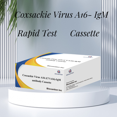 Réactif de diagnostic IVD CVA16 Virus de Coxsackie A16 CVA16-IgM Cassette d'anticorps WB/S/P Essai rapide en or colloïdal