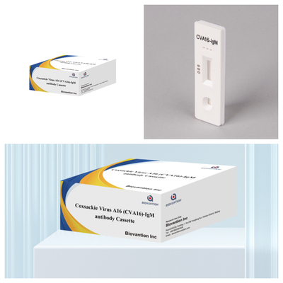 Réactif de diagnostic IVD CVA16 Virus de Coxsackie A16 CVA16-IgM Cassette d'anticorps WB/S/P Essai rapide en or colloïdal