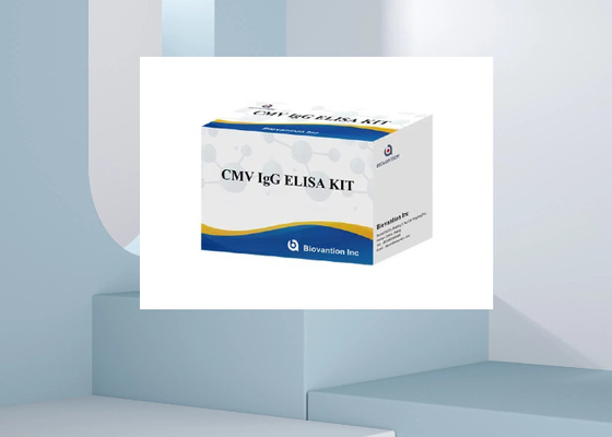 CMV IgG Elisa Test Kit ELISA Diagnostic Kit IgG Anticorps contre le cytomégalovirus