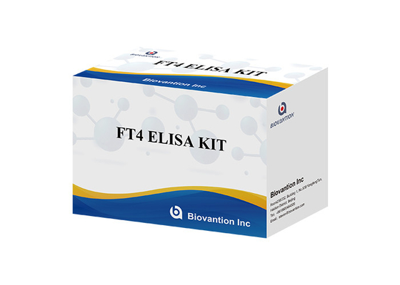 FT4 Kit de test Elisa Kit de test quantitatif lié aux enzymes immunologiques sans thyroxine