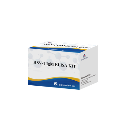 Diagnostic médical du VHS-1 IgM Kit de test Elisa avec une durée de conservation de 18 mois