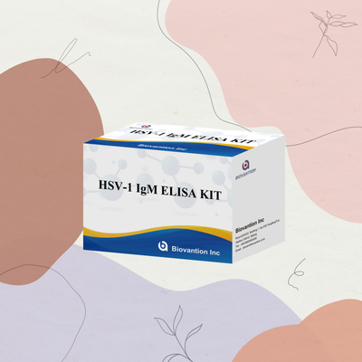 Diagnostic médical du VHS-1 IgM Kit de test Elisa avec une durée de conservation de 18 mois