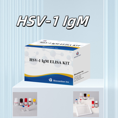 Diagnostic médical du VHS-1 IgM Kit de test Elisa avec une durée de conservation de 18 mois