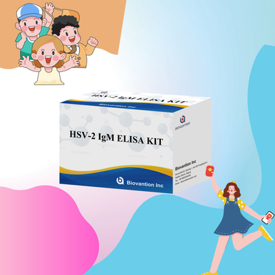 Kit de test Elisa de haute spécificité pour l' IgM HSV-2 pour des résultats rapides et précis