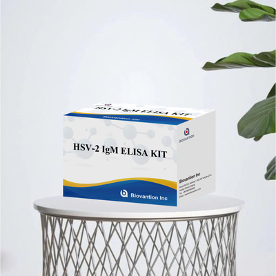 Kit de test Elisa de haute spécificité pour l' IgM HSV-2 pour des résultats rapides et précis