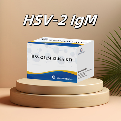Kit de test Elisa de haute spécificité pour l' IgM HSV-2 pour des résultats rapides et précis