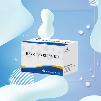 Réactif diagnostique IgG HSV-2 applicable au niveau international 96 tests ELISA Kit d'analyse pour le diagnostic médical