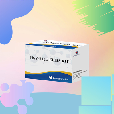 Réactif diagnostique IgG HSV-2 applicable au niveau international 96 tests ELISA Kit d'analyse pour le diagnostic médical