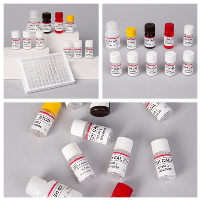 1 heure de spécificité Biovantion IVD Elisa Kit de test pour échantillon de plasma sérique