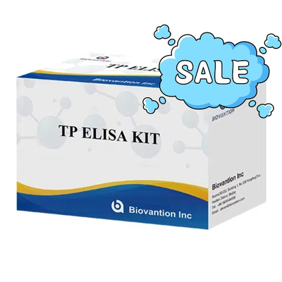 TP (Treponema pallidum) Ab Kit de test ELISA Syphilis SYP Immunosorbant lié à l' enzyme