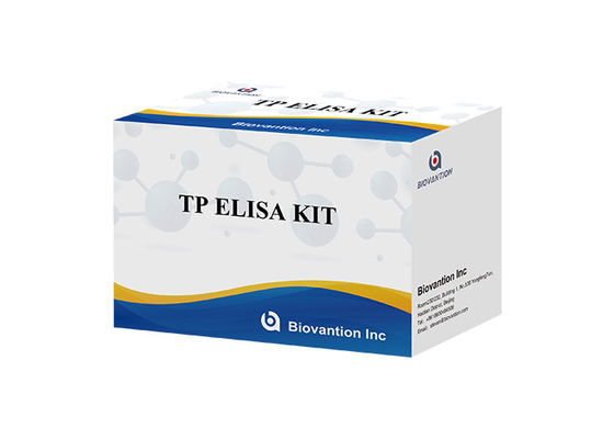 TP (Treponema pallidum) Ab Kit de test ELISA Syphilis SYP Immunosorbant lié à l' enzyme