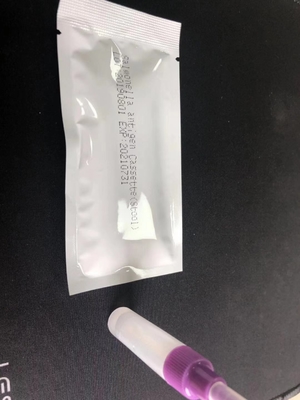 Cassette de test rapide IgG/IgM pour Salmonella S.Typhoid, trousse de diagnostic facile à utiliser