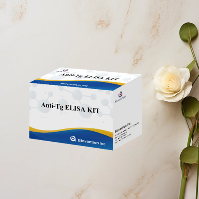 Kit de test ELISA anti-Tg Thyroglobuline Ab détermination quantitative in vitro