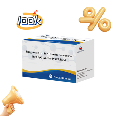 Vente directe d'usine Kit ELISA B19 Pour le parvovirus humain B19 IgM Anticorps Elisa Test Kit Avec 96T