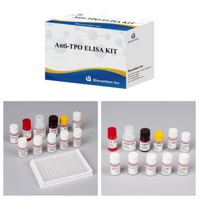 Kit de diagnostic pour l'hommeAnti-TPO pour l'hôpital et le laboratoire avec 96 tests