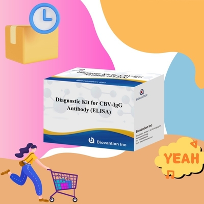 Les kits Elisa détectent les anticorps CBV-IgG hautement spécifiques pour la détection précise des analytes cibles.