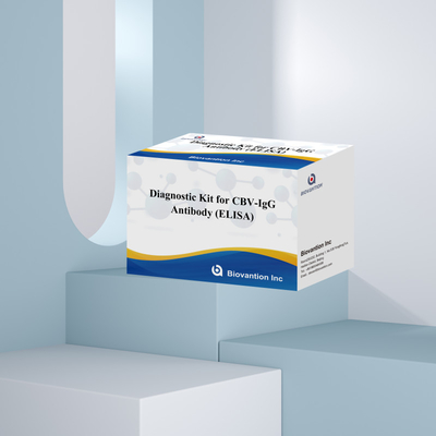 Les kits Elisa détectent les anticorps CBV-IgG hautement spécifiques pour la détection précise des analytes cibles.