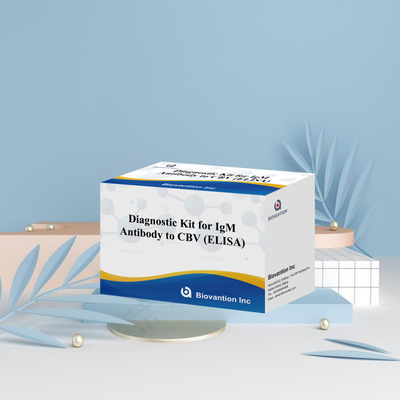 Réactif de diagnostic de l'igm CBV ELISA KIT D 18 mois Durée de conservation Test d'analyse immunosorbant lié à l'enzyme